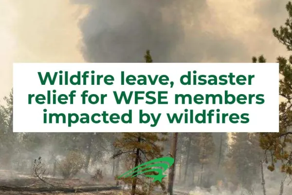 Infographic about wildfire relief