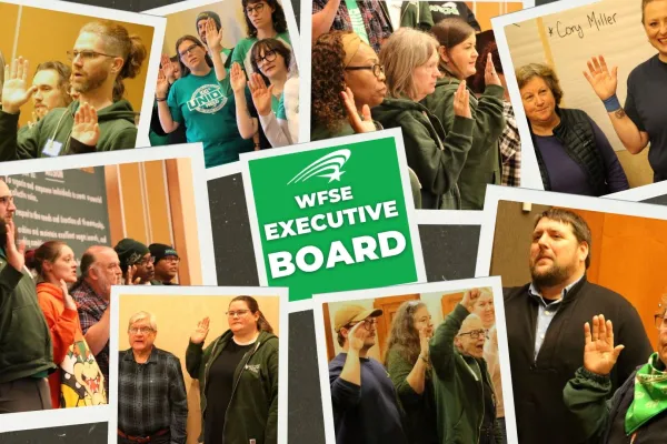 wfse exec board