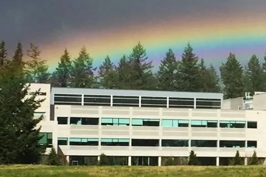 rainbow-over-ecology-1.jpg