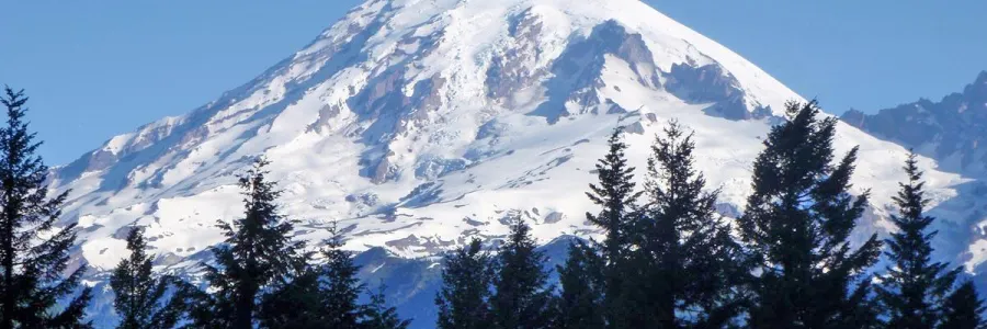 Mt Rainier