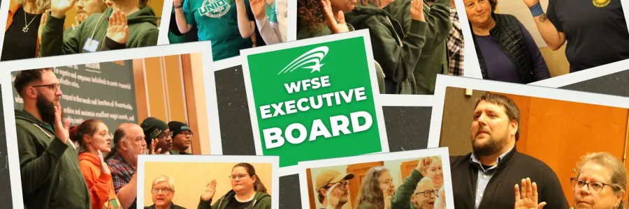wfse exec board