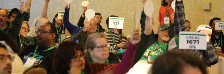 wfse members voting at convention