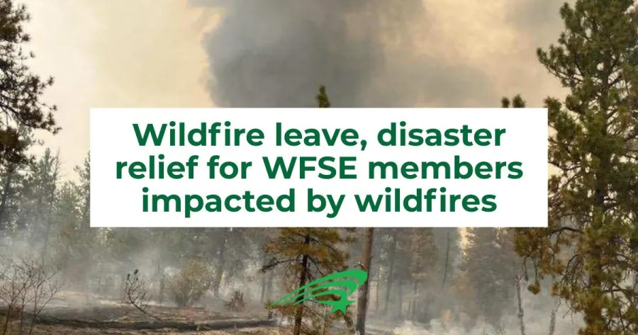Infographic about wildfire relief