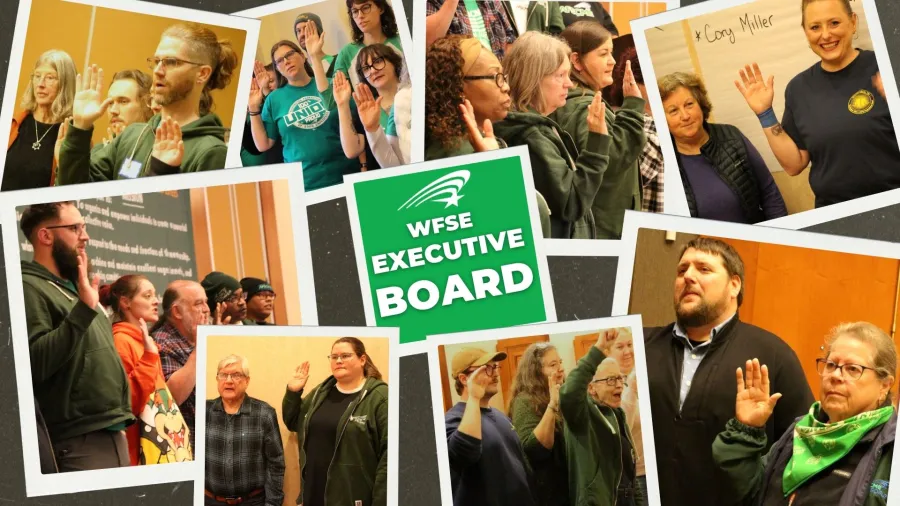 wfse exec board