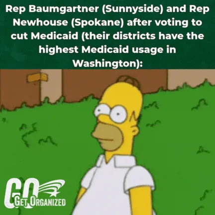 Homer meme