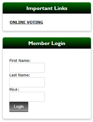 picture of login form at voting webpage