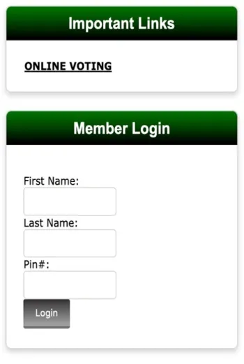 Screenshot of voting login